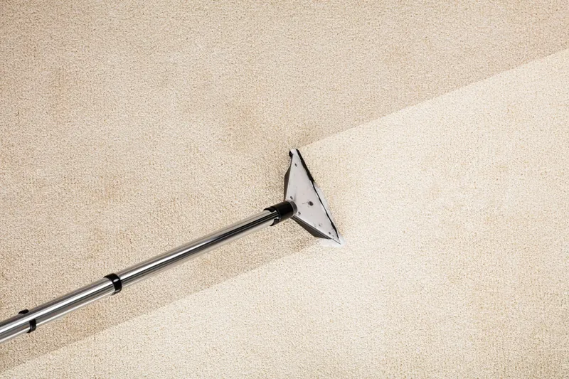 Nettoyage de tapis en profondeur